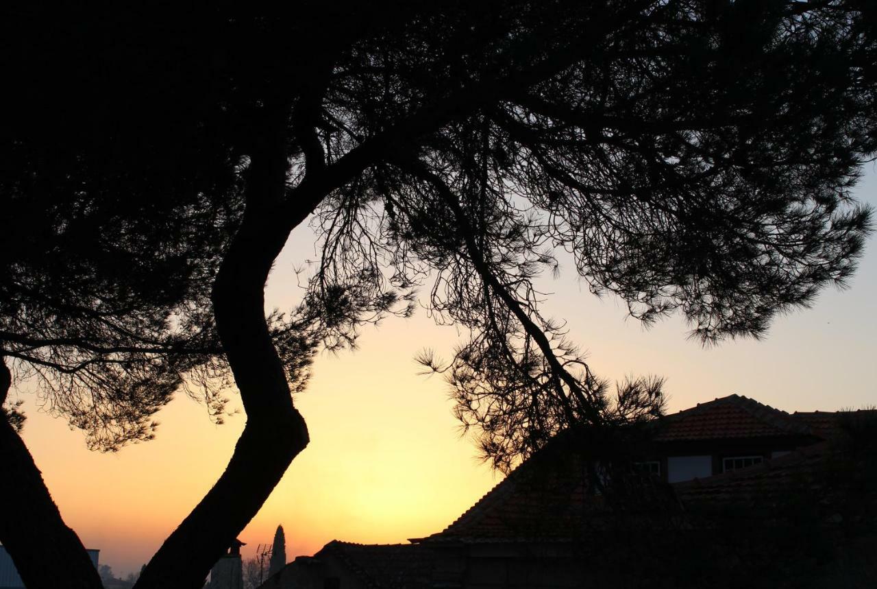 Lagares da Beira Hostel Casa Do Pinheiro מראה חיצוני תמונה